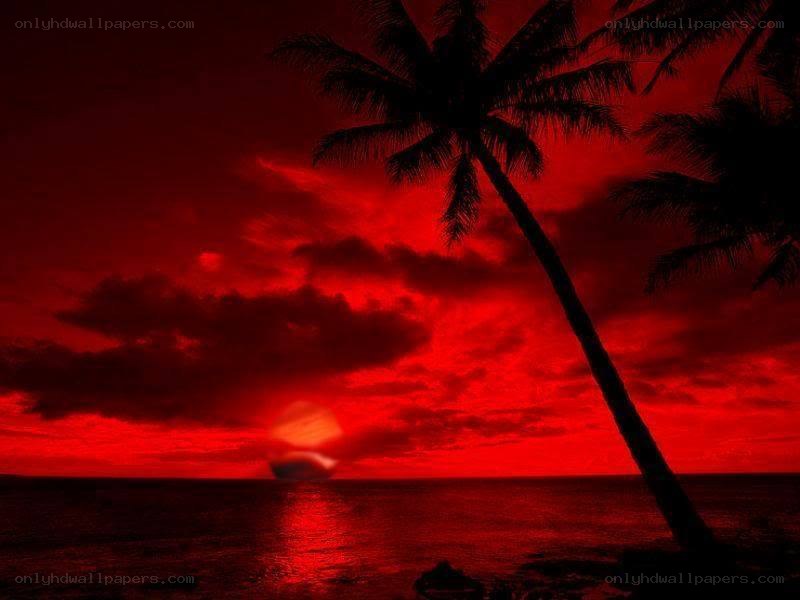 Red sunset over tropical beach