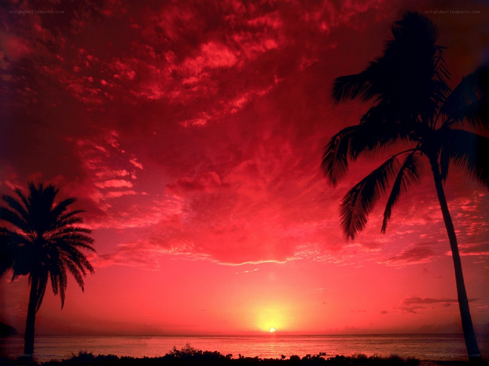 Red sunset over tropical beach