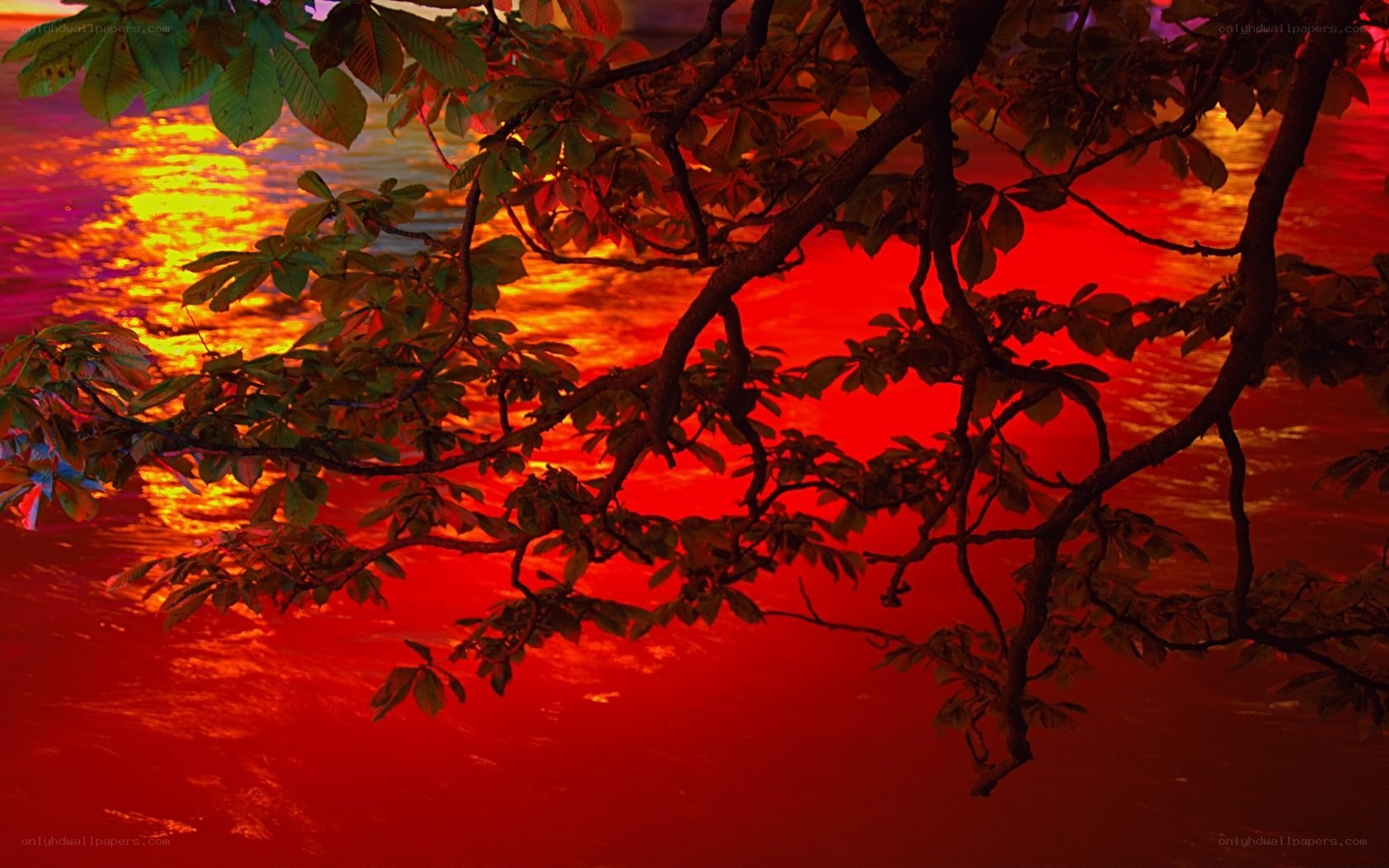 Red sunset over water