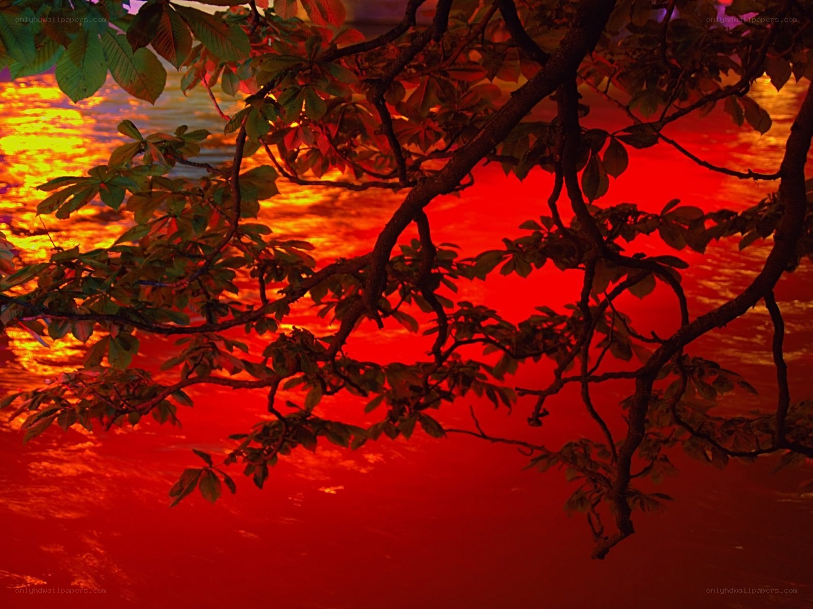 Red sunset over water