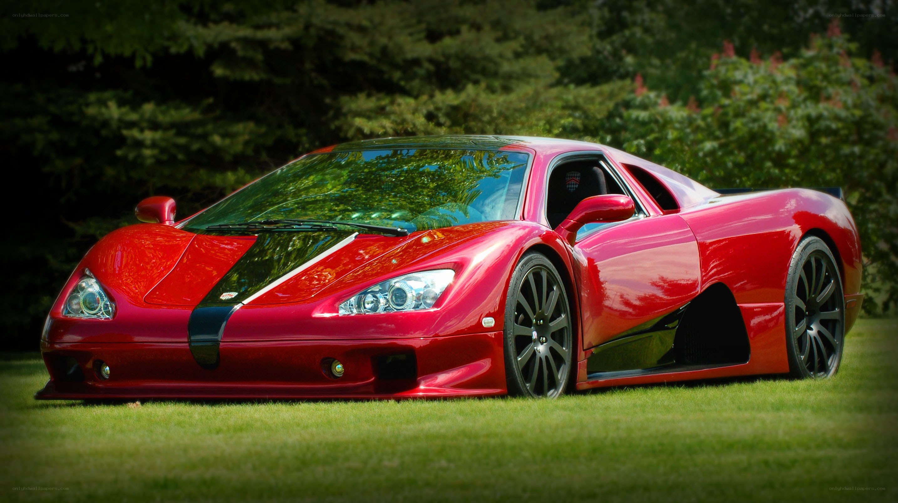 Red supercar on grass