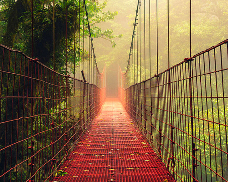 Red Suspension Bridge — Misty