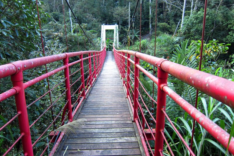 Red Suspension Bridge — Serene, Afternoon