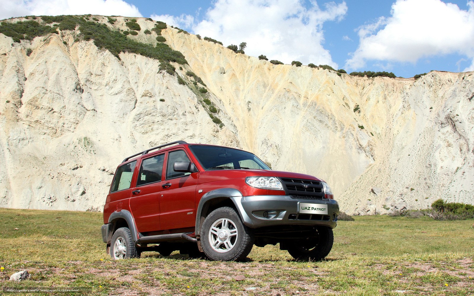 Red SUV in a grassy field