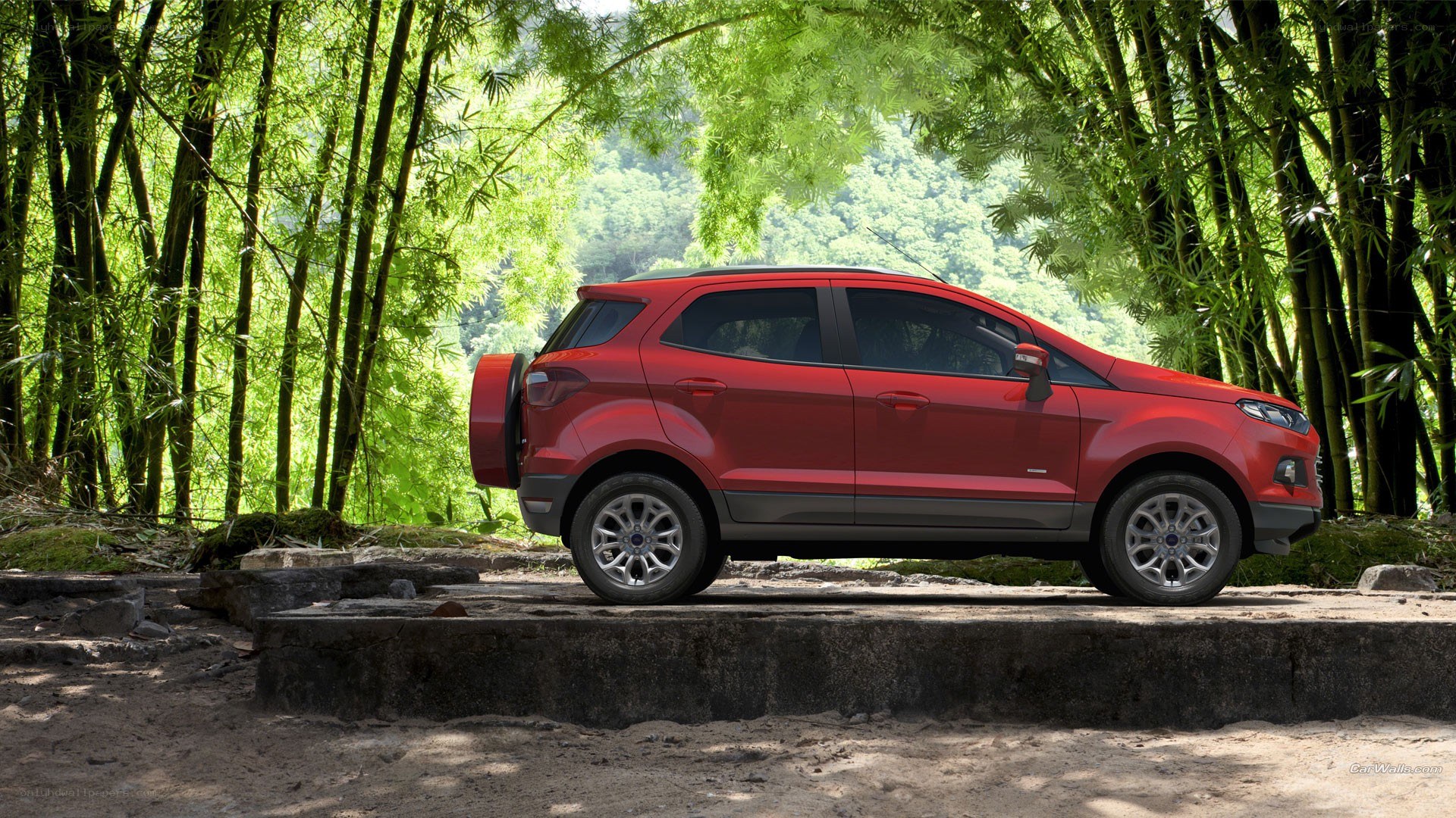 Red SUV in bamboo forest