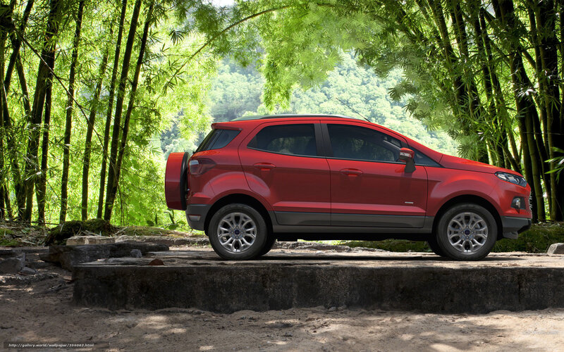 Red SUV in bamboo forest
