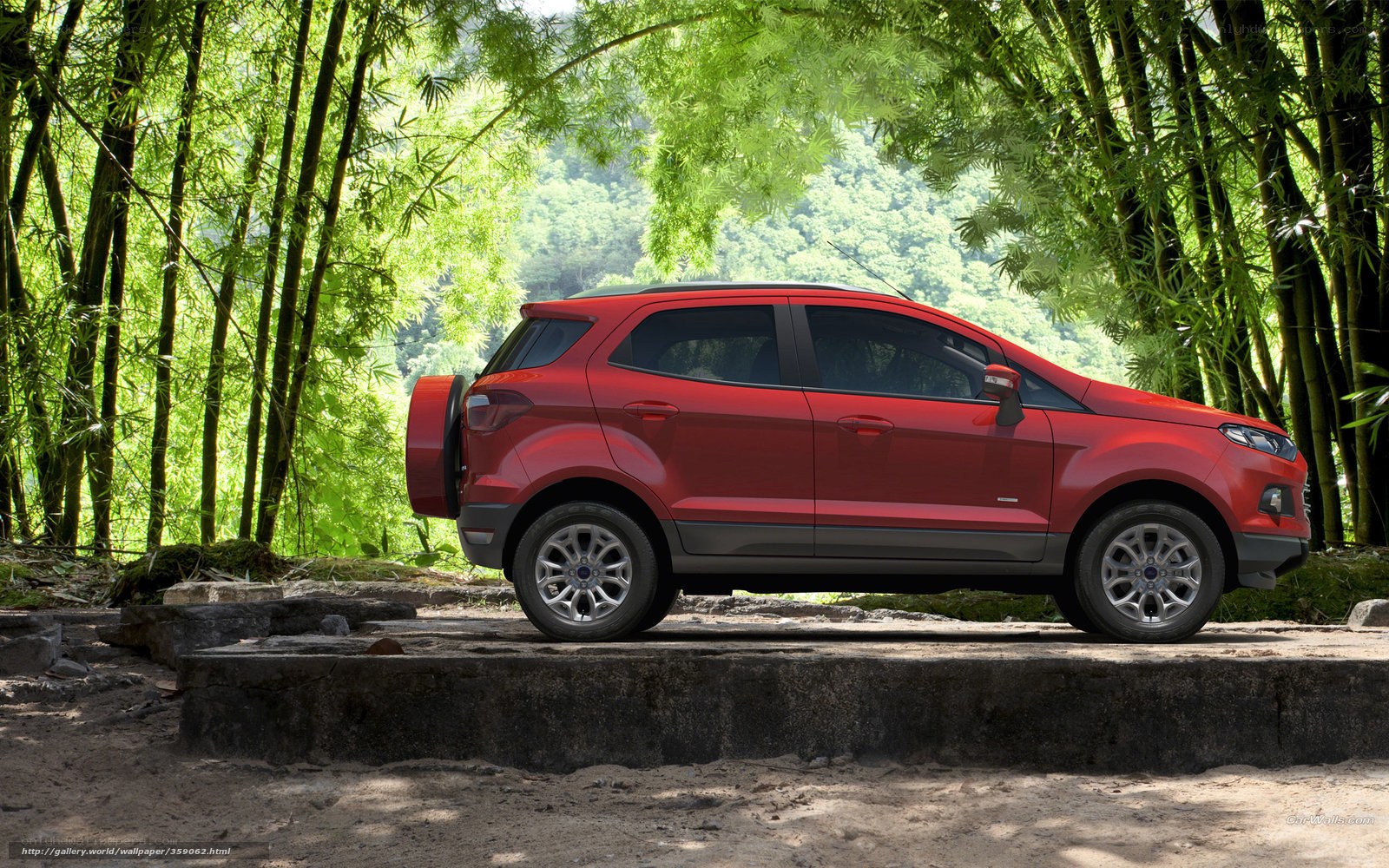 Red SUV in bamboo forest
