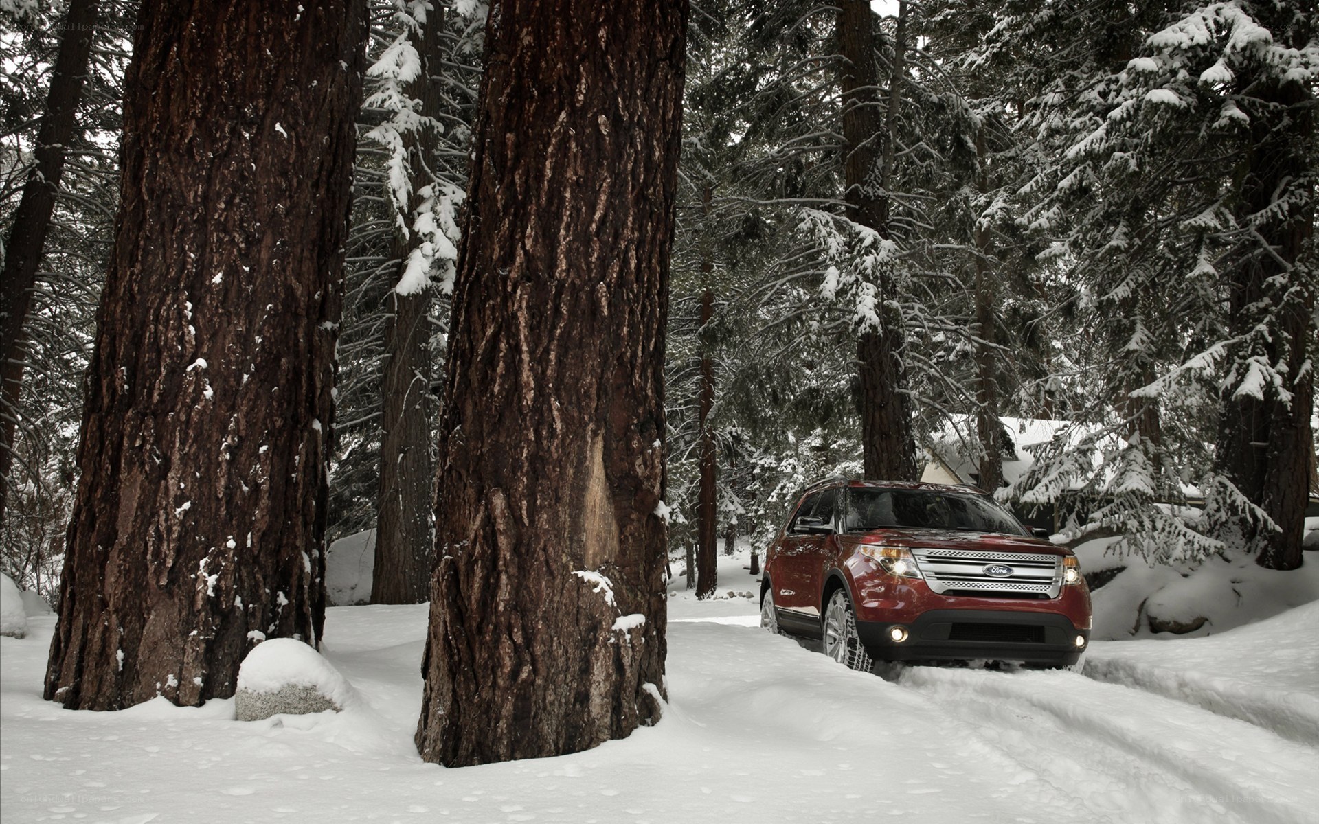 Red SUV in snowy forest