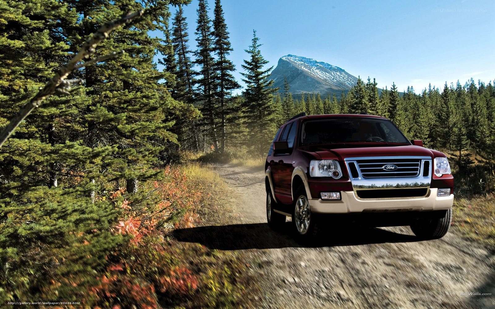 Red SUV on forest trail