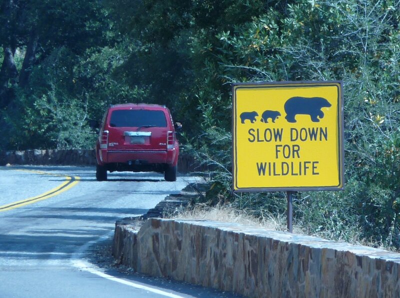 Red SUV on Road — Yellow