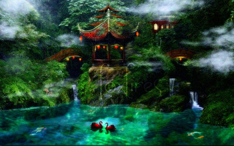 Red Swans in Pond