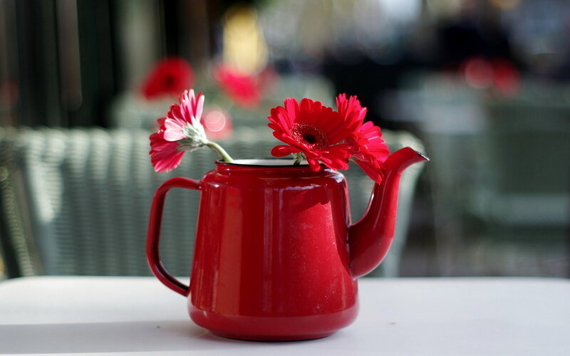 Red Teapot with Flowers — Calm