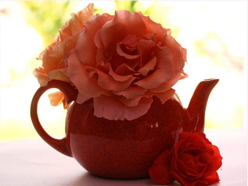 Red Teapot with Roses