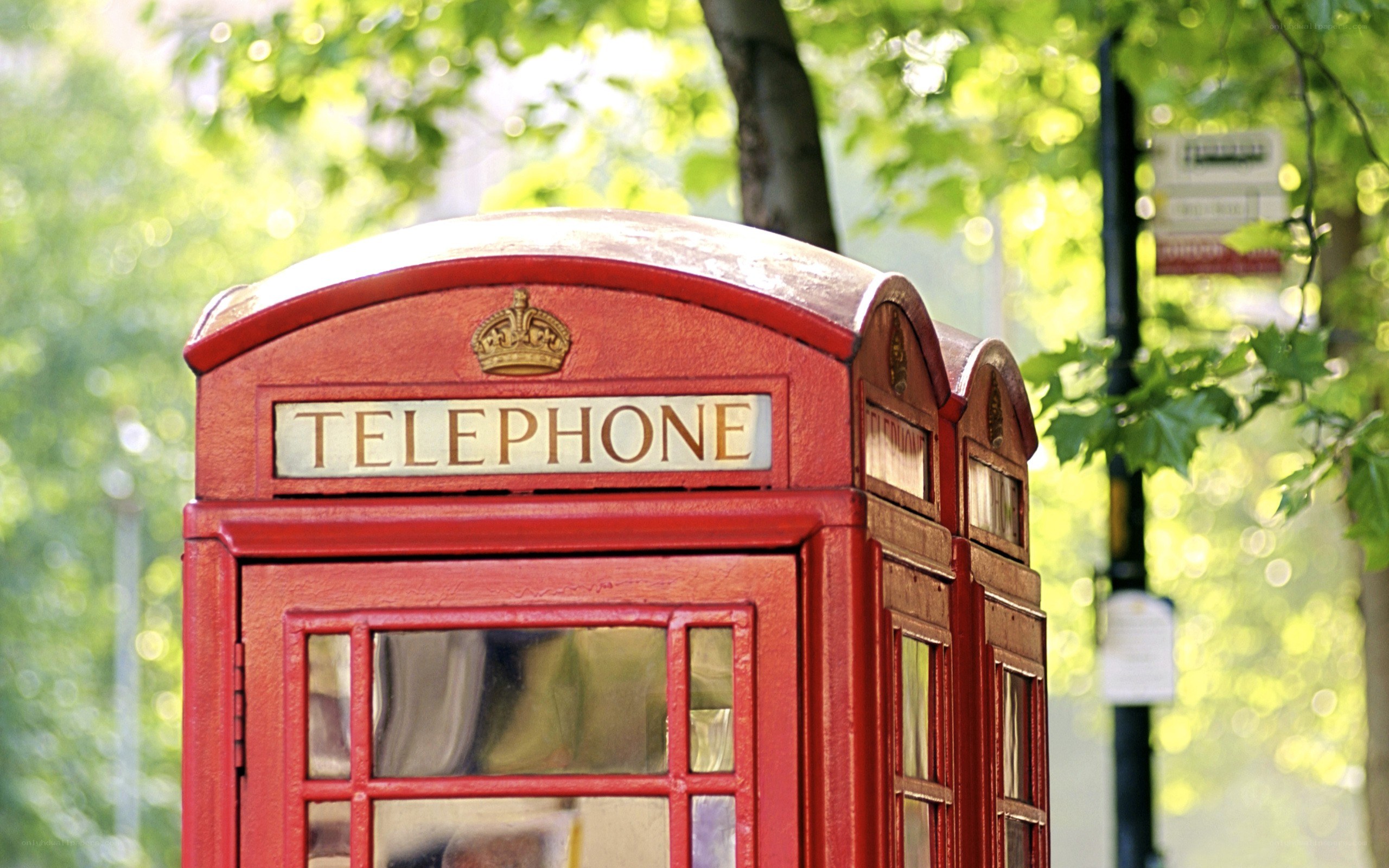 Red telephone box in park