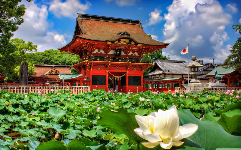 Red Temple with Lotus Pond — Serene