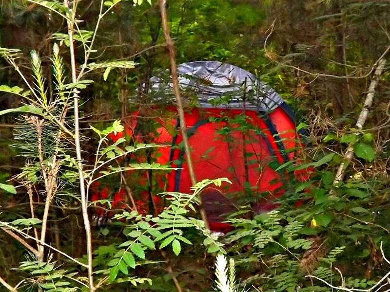 Red Tent in Forest — Natural