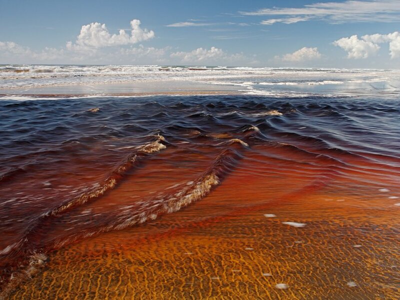 Red Tide at Beach
