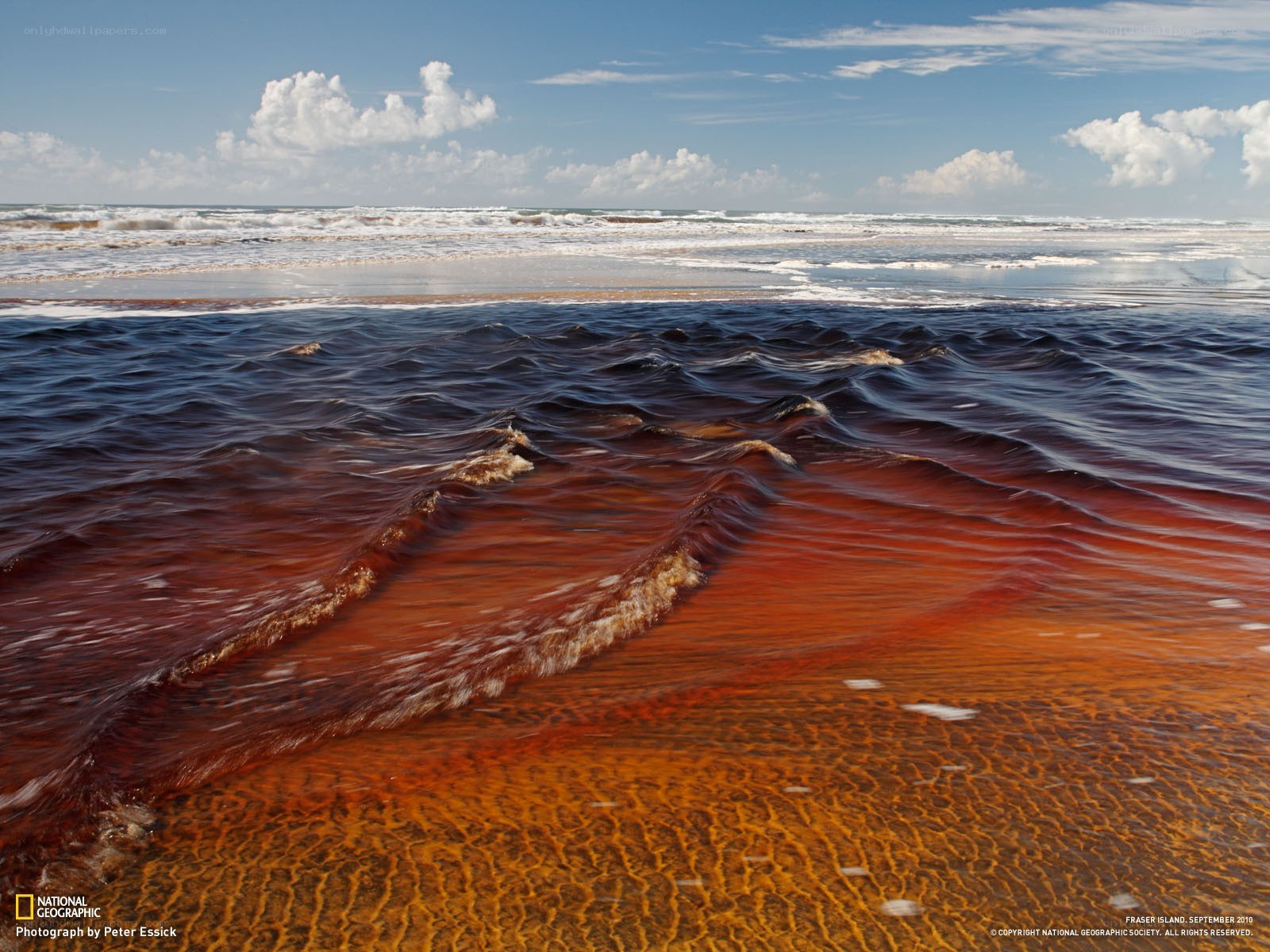 Red tide at Fraser Island