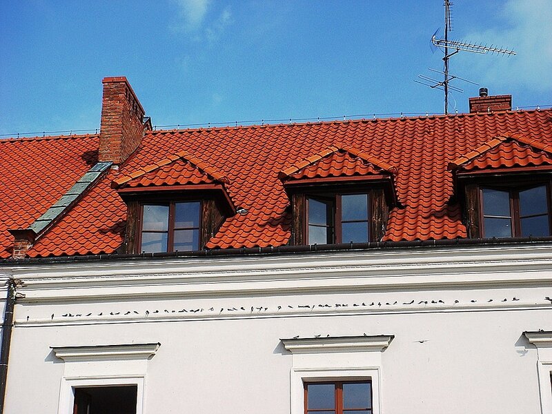 Red-tiled Roof with Dormers