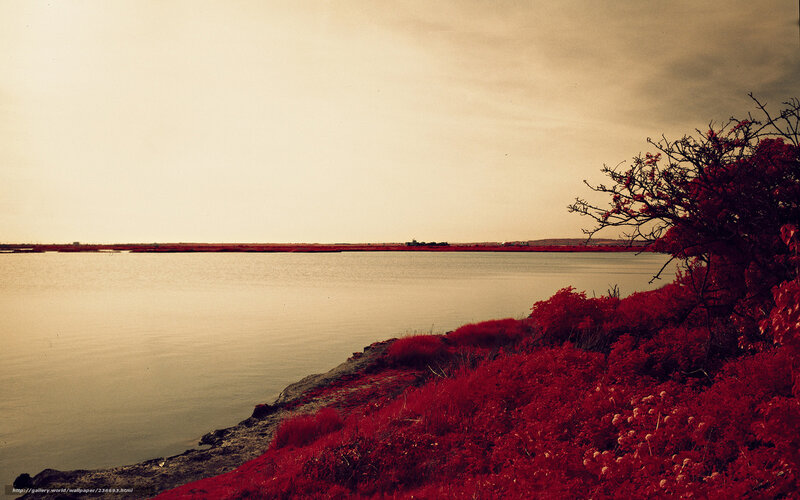 Red-tinged lakeside landscape