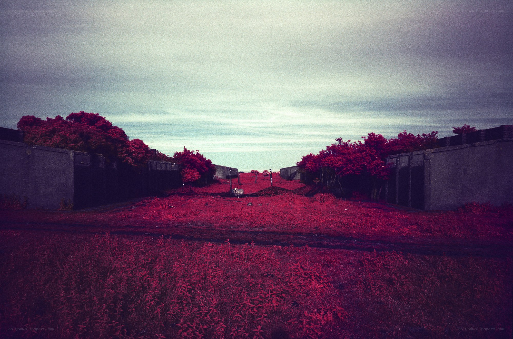 Red-tinted landscape with concrete walls