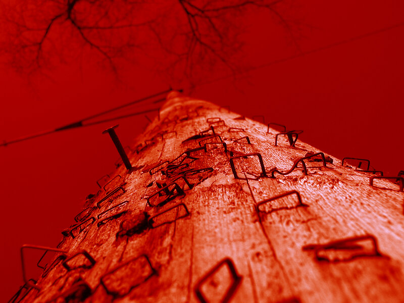 Red-tinted utility pole