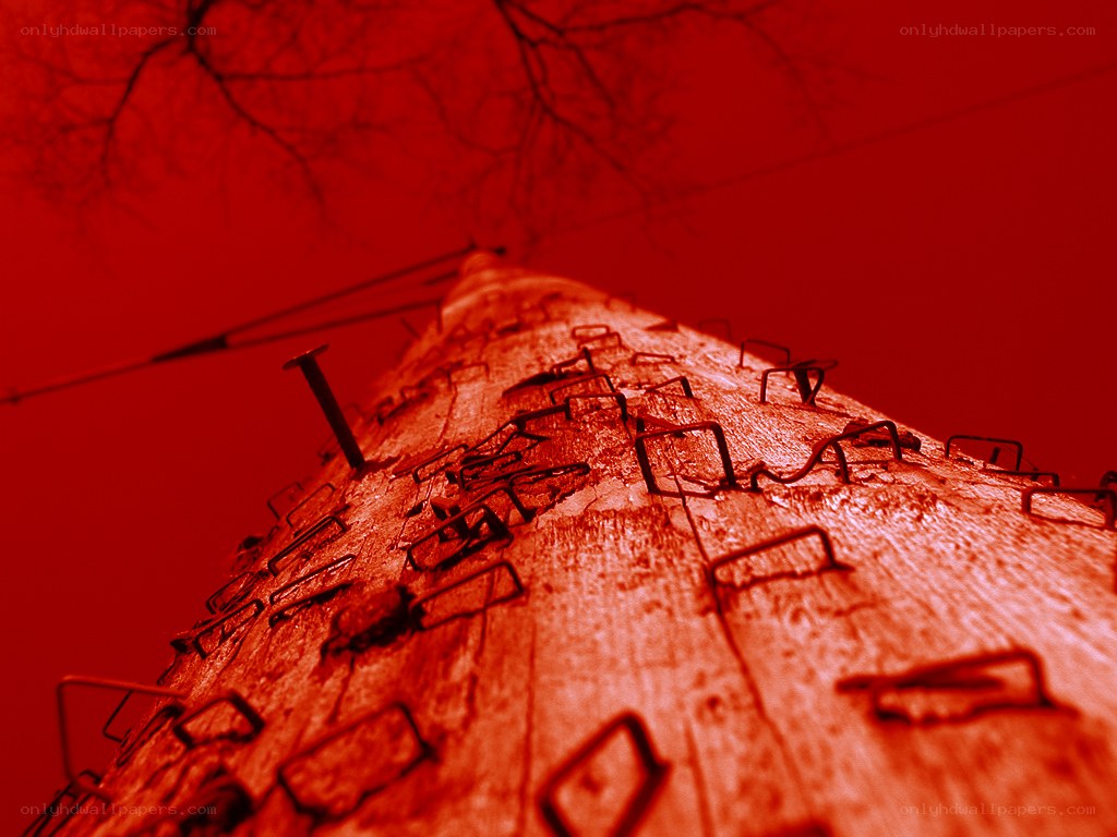 Red-tinted utility pole