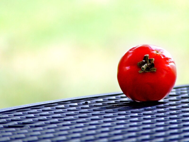 Red Tomato on Table