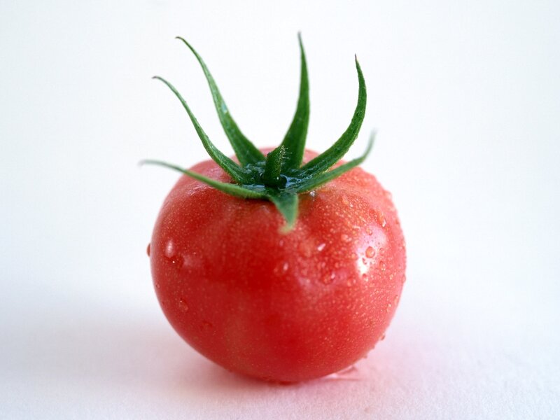 Red Tomato with Water Droplets — Clean