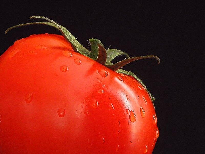 Red Tomato with Water Droplets — Dramatic