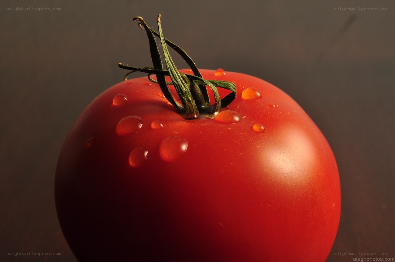 Red tomato with water droplets