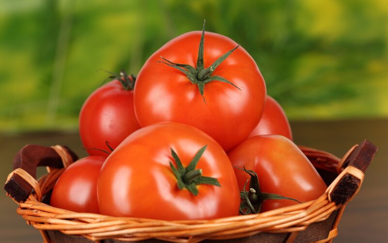 Red Tomatoes in Basket