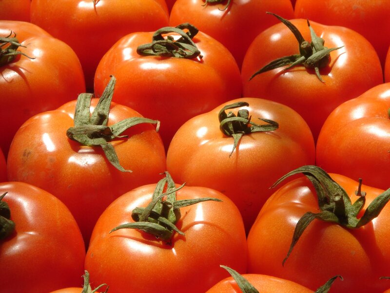 Red Tomatoes in Pile