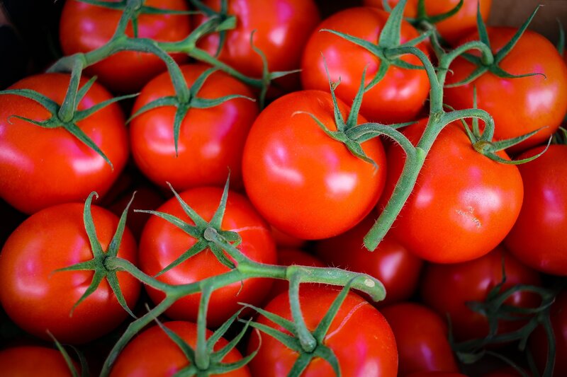 Red Tomatoes on Vine — Fresh, Photograph