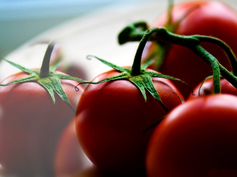 Red Tomatoes on Vine — Natural, Photograph
