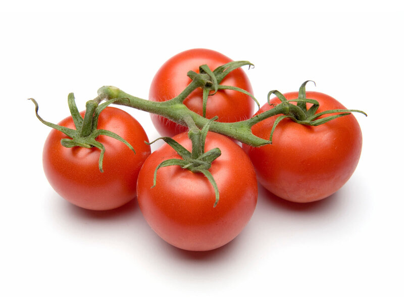 Red Tomatoes on Vine