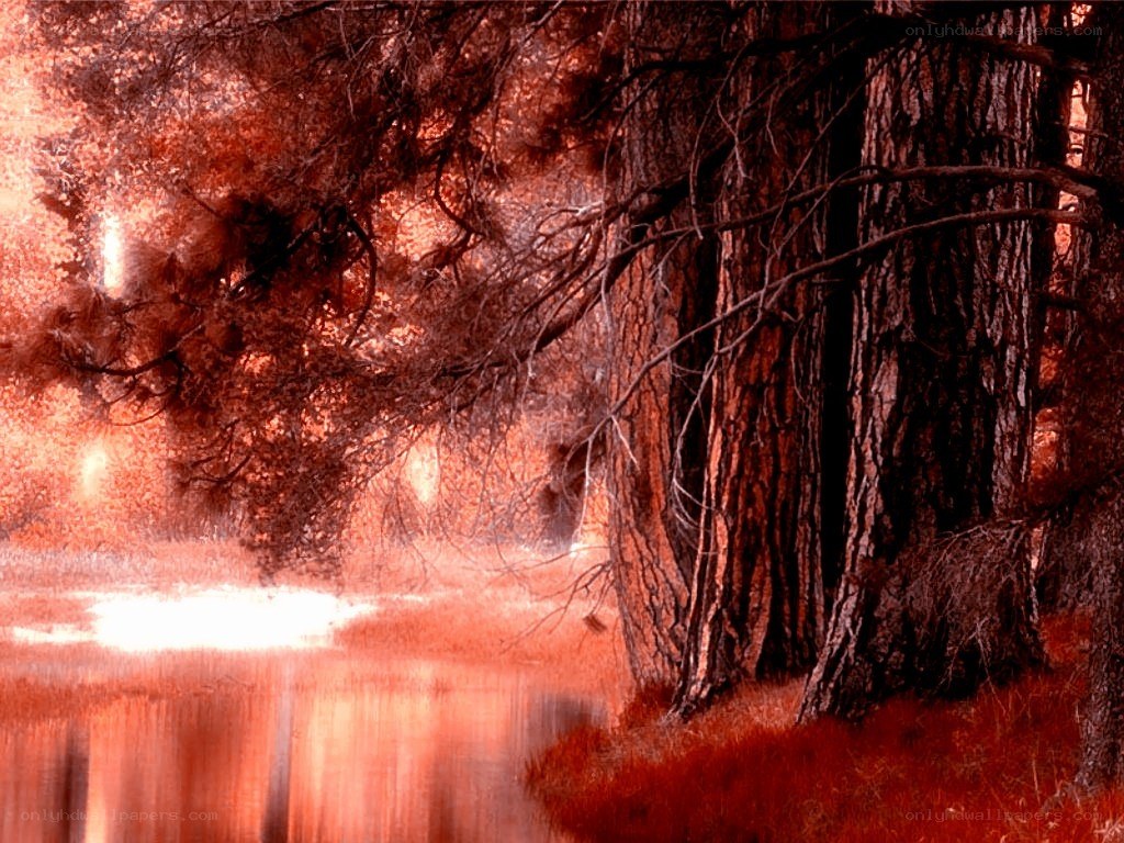 Red-toned forest by the water