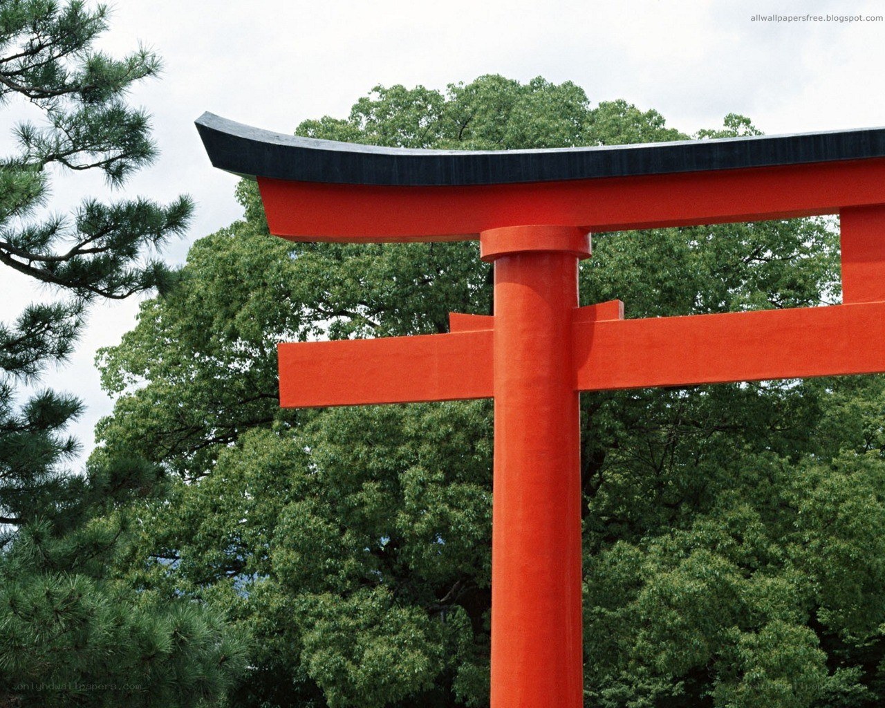 Red torii gate at a shrine