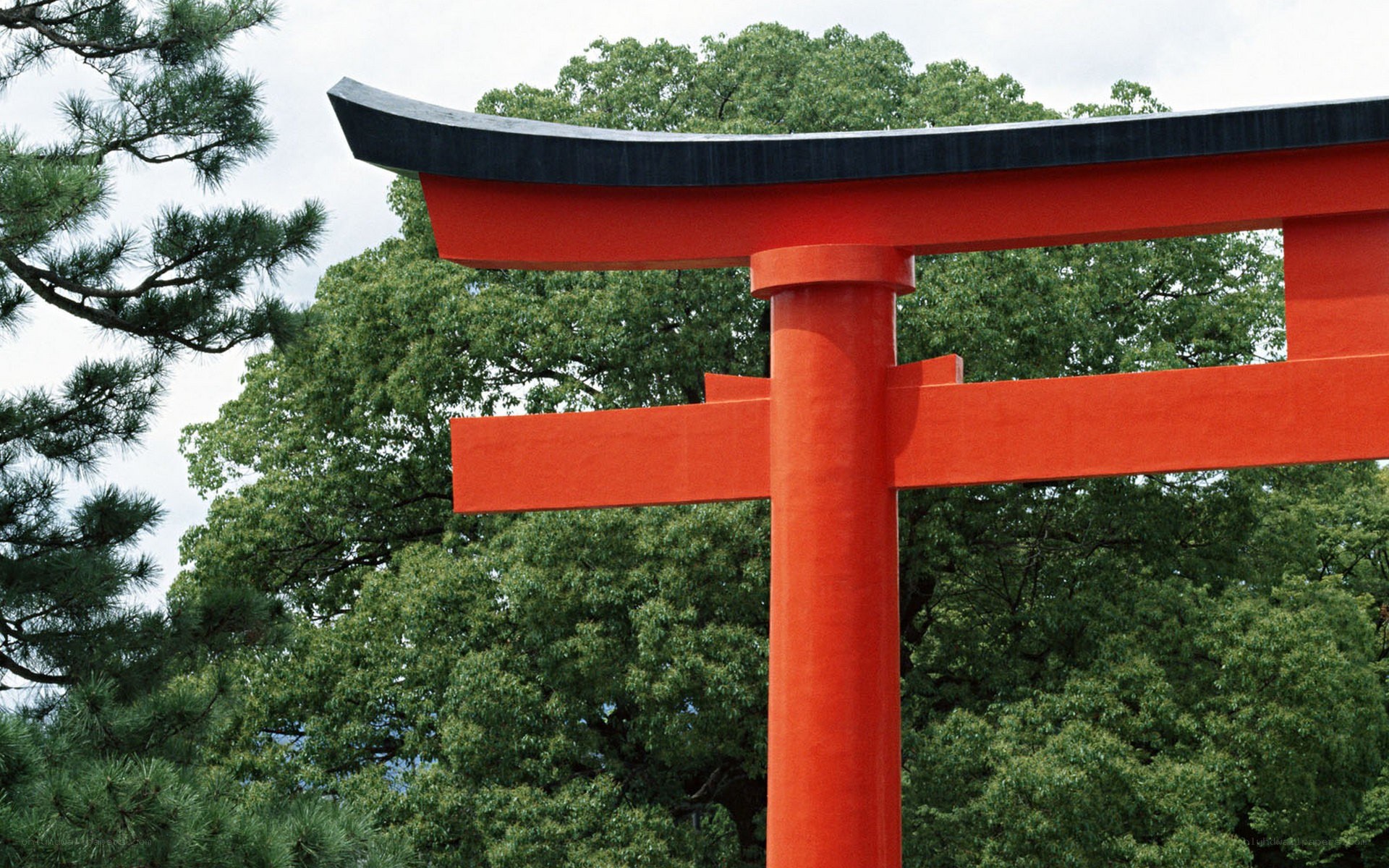 Red torii gate at a shrine