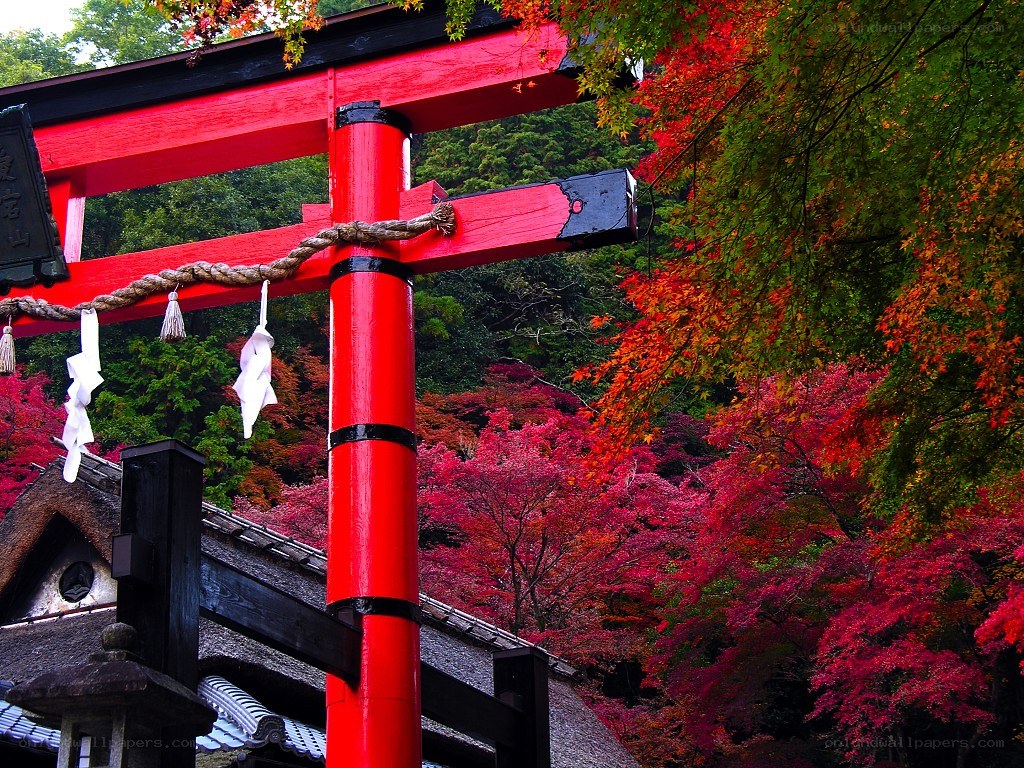 Red torii gate in autumn