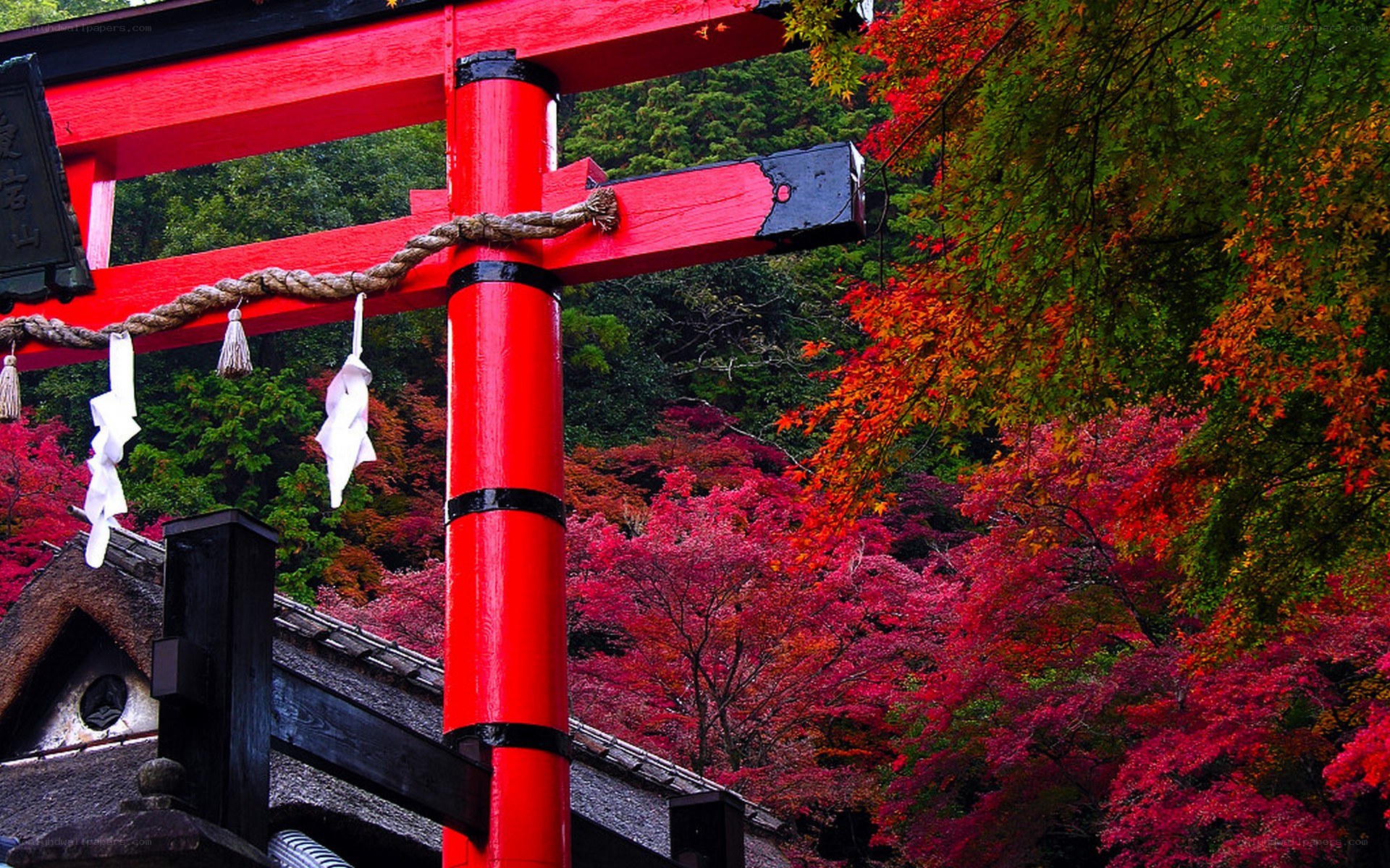 Red torii gate in autumn