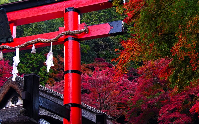 Red Torii Gate — Serene, Autumn