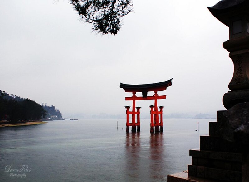 Red Torii Gate — Serene, Morning, Photograph