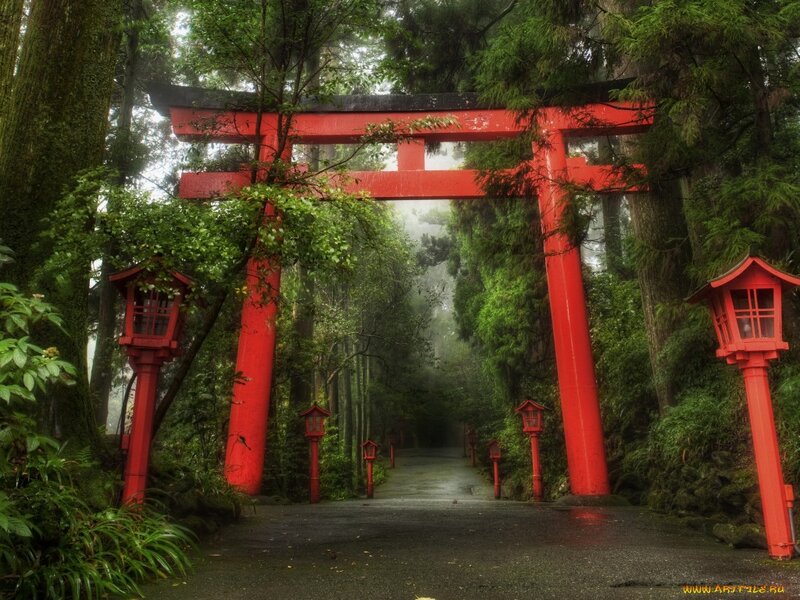Red Torii Gate — Serene, Morning