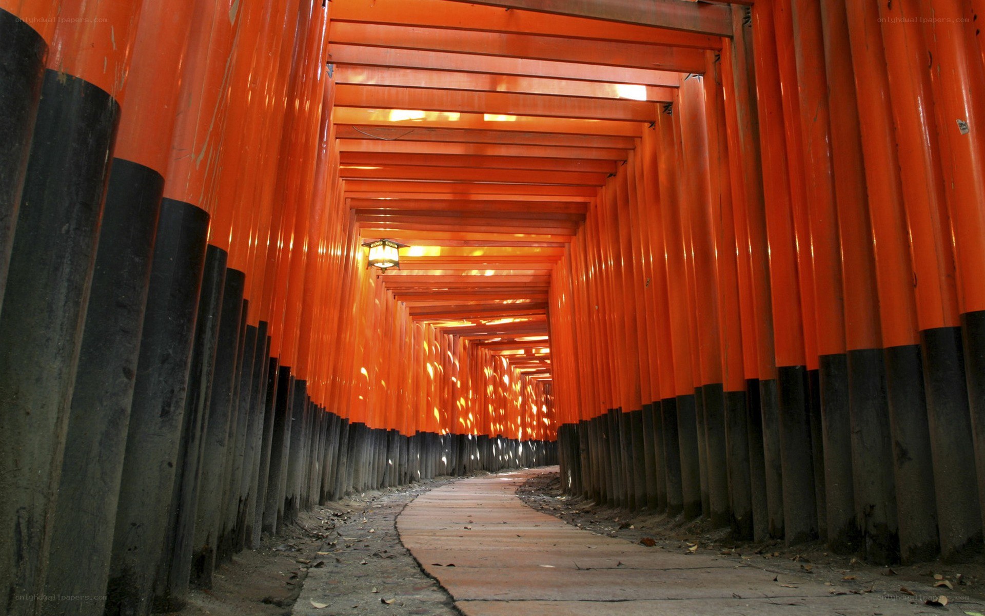 red torii gate tunnel