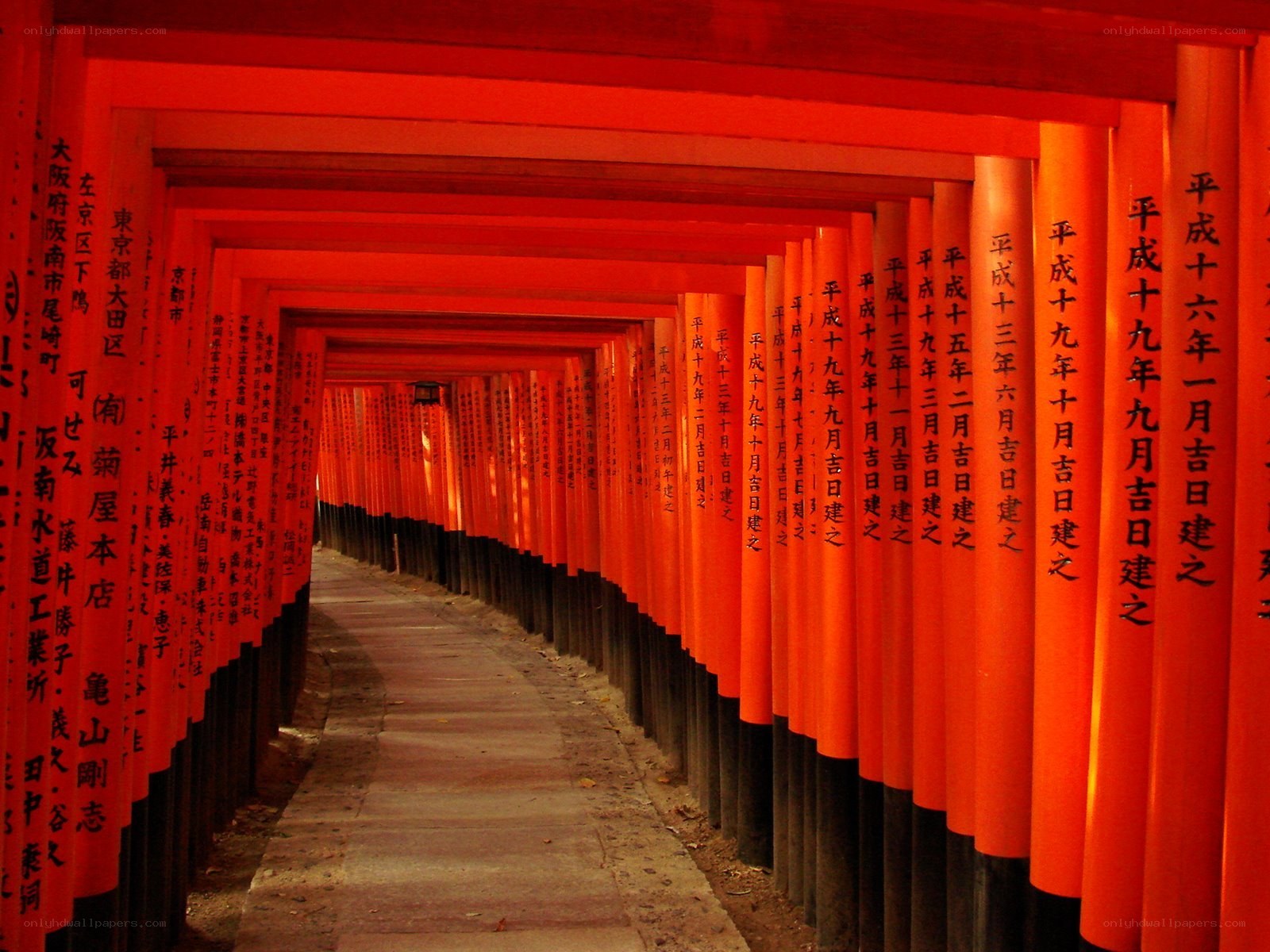 red torii gate tunnel