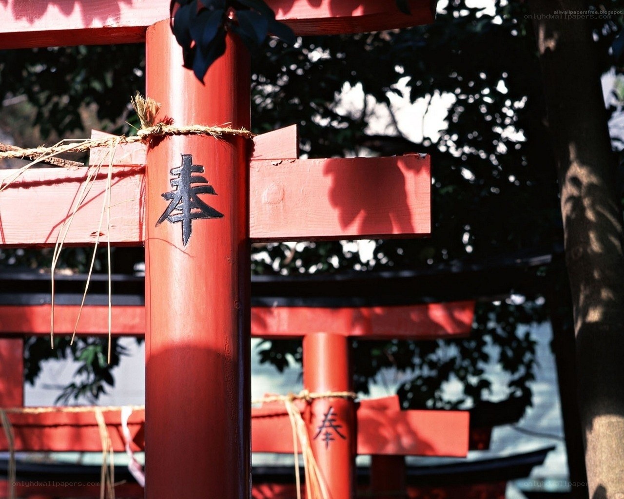 Red torii gates at a shrine