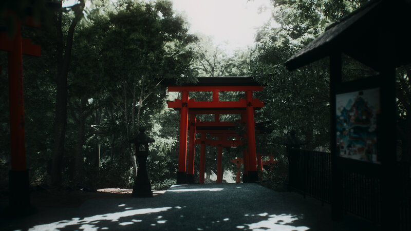 Red Torii Gates in Forest
