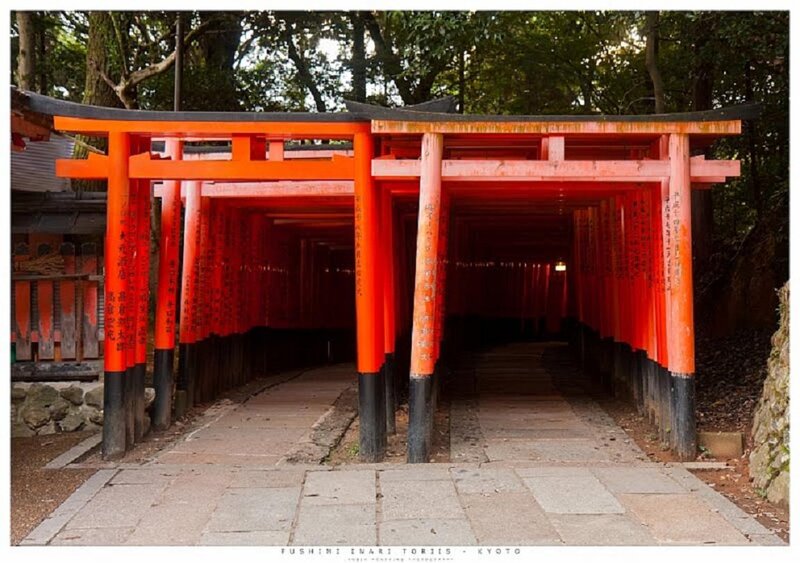 Red Torii Gates — Serene, Afternoon