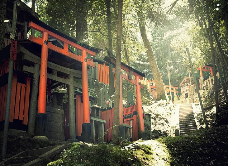 Red Torii Gates — Serene